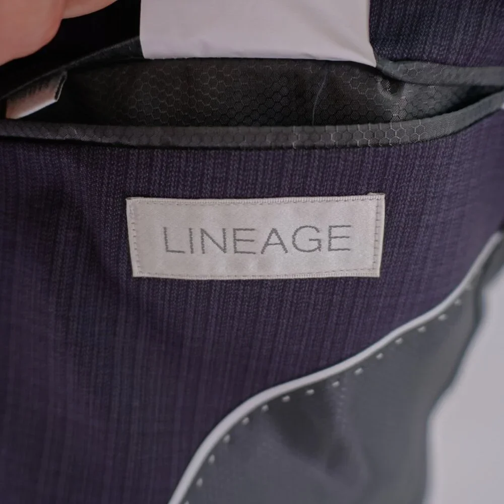 Lineage Polyester Rayon Spandex Striped 2 Button Blazer 36S‎